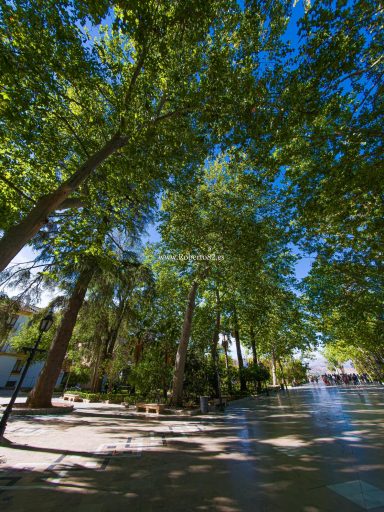 Ronda, Málaga, Andalucía