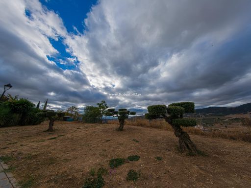 Arriate, Ronda, Serrania de ronda, málaga