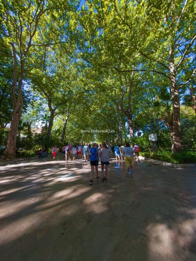 Ronda, Málaga, Andalucía