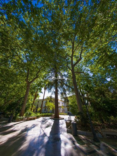 Ronda, Málaga, Andalucía